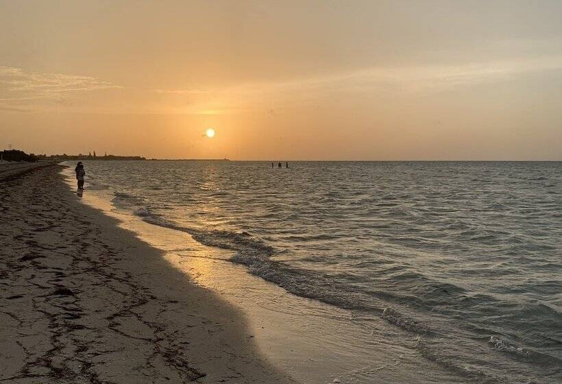 בית מלון כפרי Playa Arena