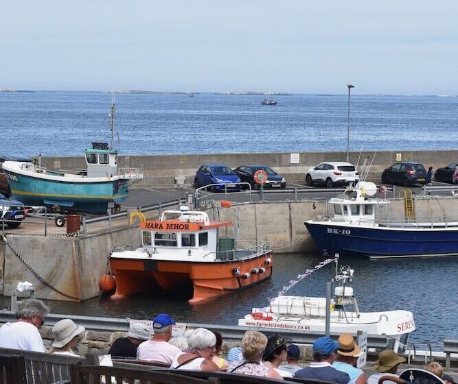 فندق The Olde Ship Inn