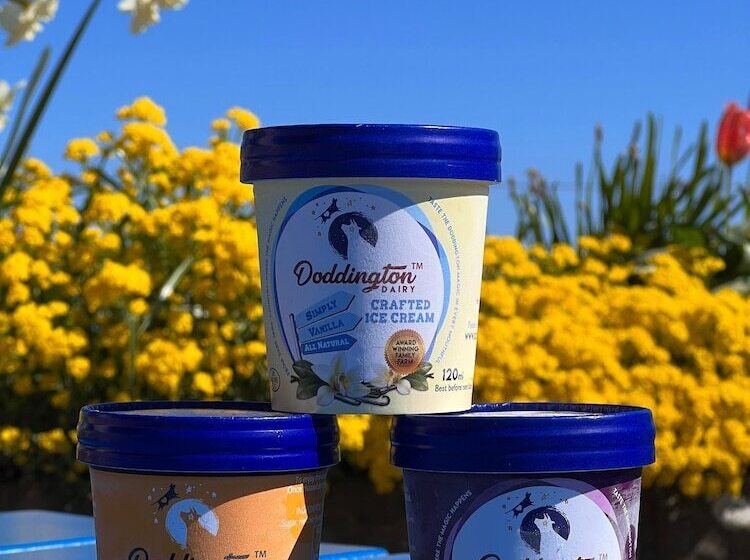 فندق The Olde Ship Inn