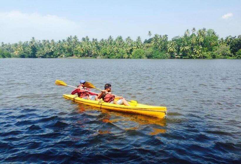 Отель Turtle Paradise Villa