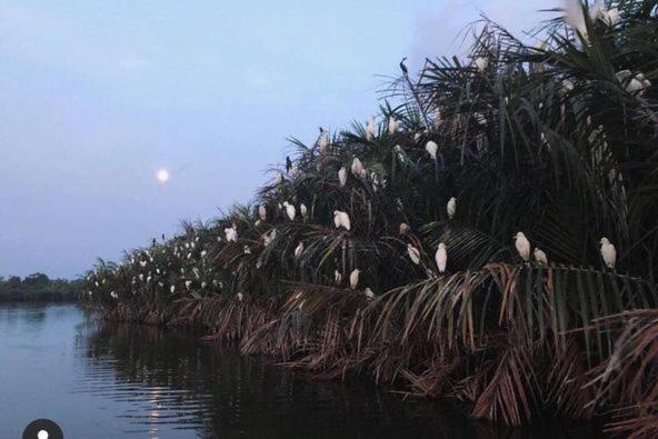 Отель Turtle Paradise Villa