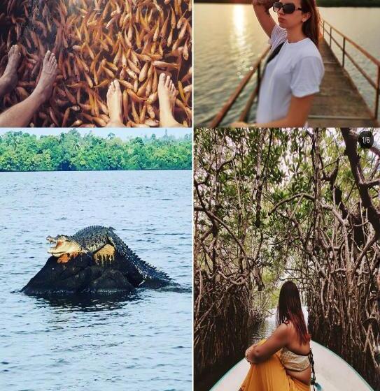 Отель Turtle Paradise Villa