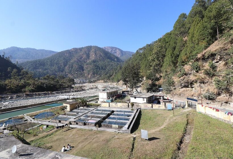 Oyo 24319 Hotel Geetanjali Resort