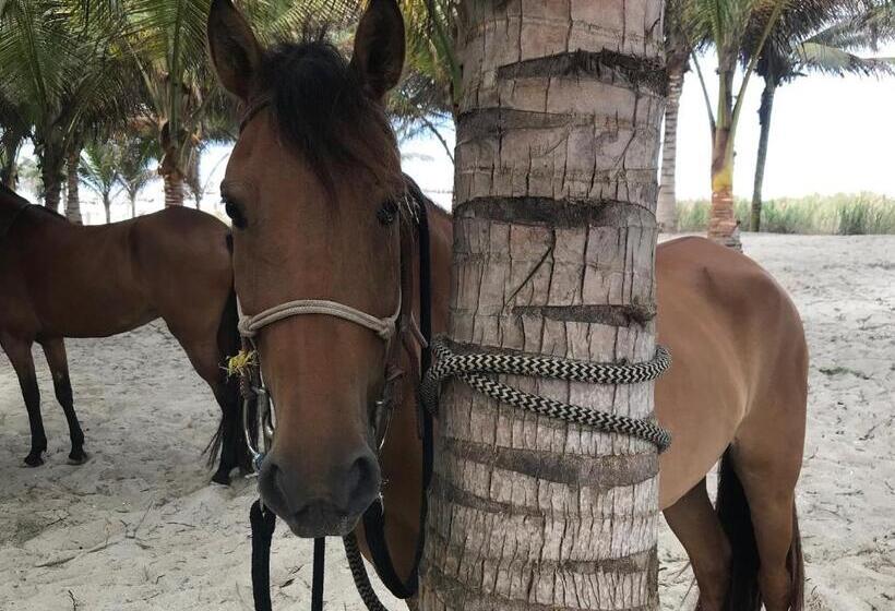 پانسیون Canoaoasis