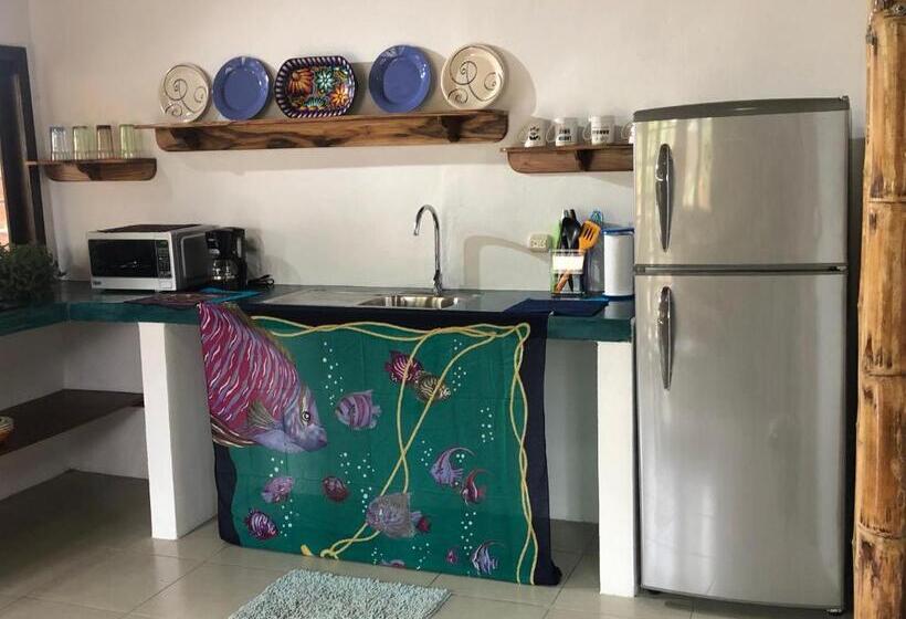 پانسیون Canoaoasis