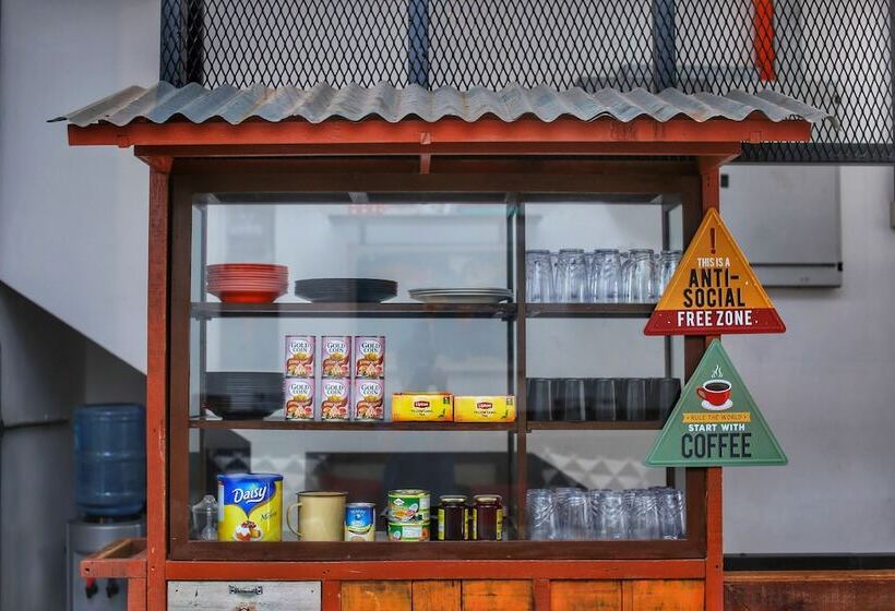 The Bedpackers Hostel