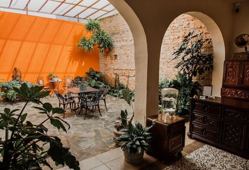 Tierra Soñada Hotel Boutique