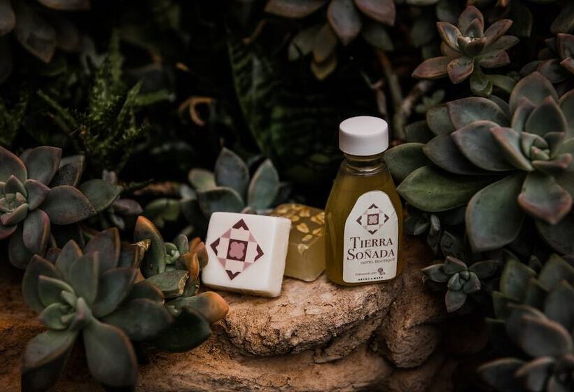 Tierra Soñada Hotel Boutique