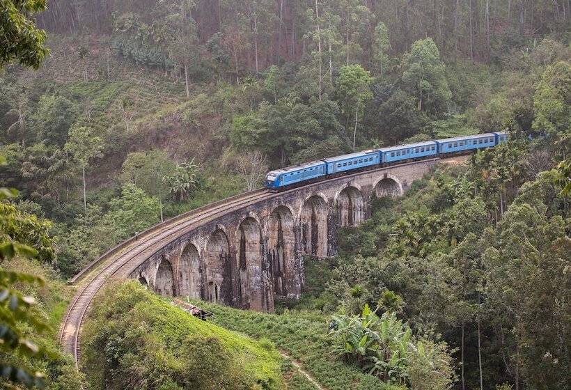 Anasa Wellness Resort