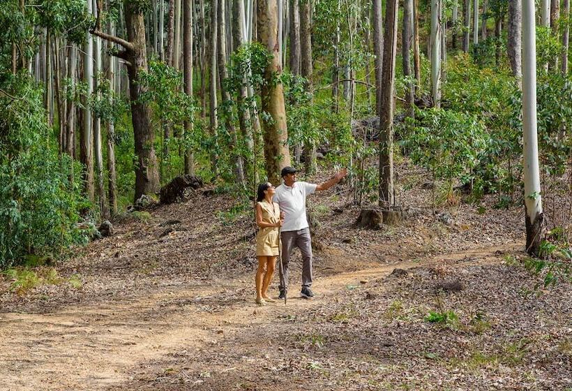 Anasa Wellness Resort