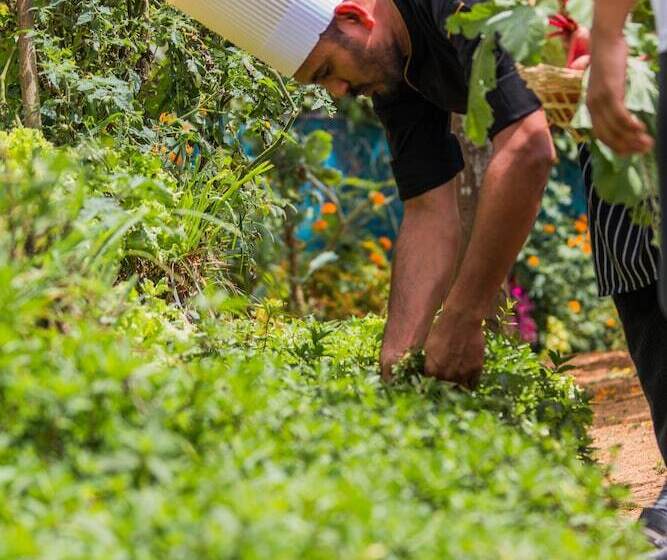 Anasa Wellness Resort