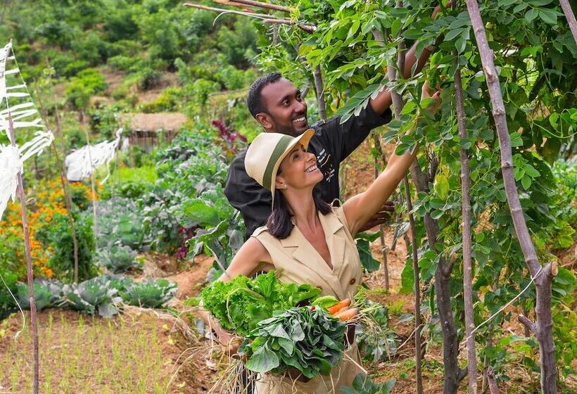 Anasa Wellness Resort