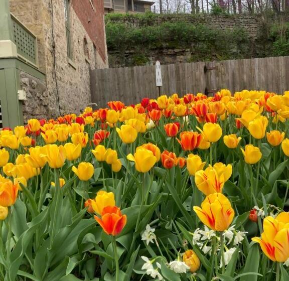 تختخواب و صبحانه Abe's Spring Street Guest House