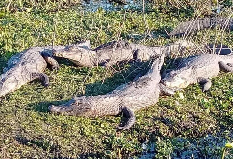 הוסטל Hospedaje San Cayetano