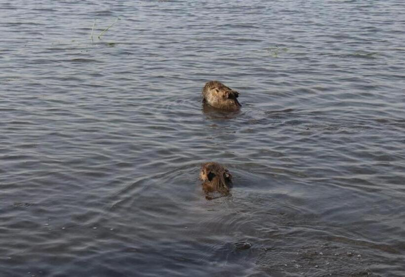הוסטל Hospedaje San Cayetano