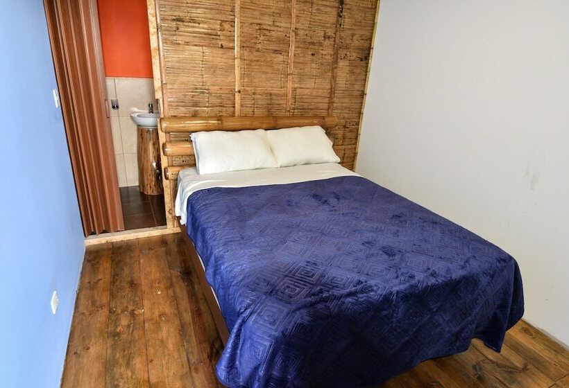 هاستل Sara Lodge