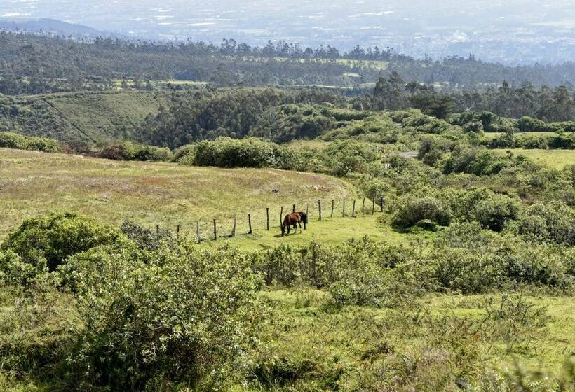 فندق صغير Sara Lodge