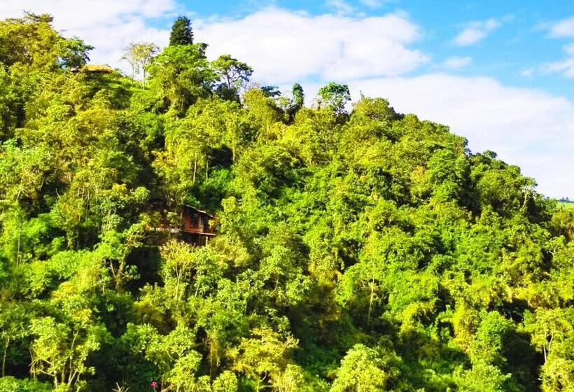 مبيت وإفطار Finca Petrona