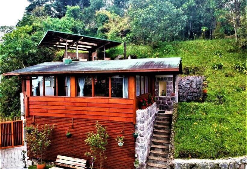 تختخواب و صبحانه Finca Petrona