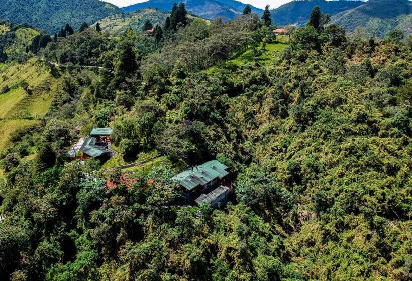 مبيت وإفطار Finca Petrona