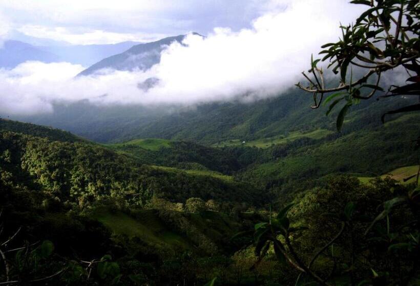 تختخواب و صبحانه Finca Petrona