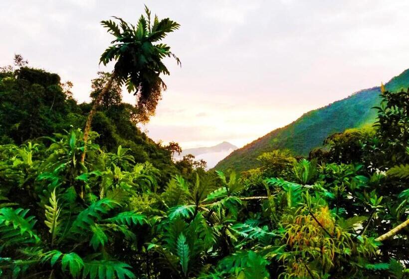 مبيت وإفطار Finca Petrona