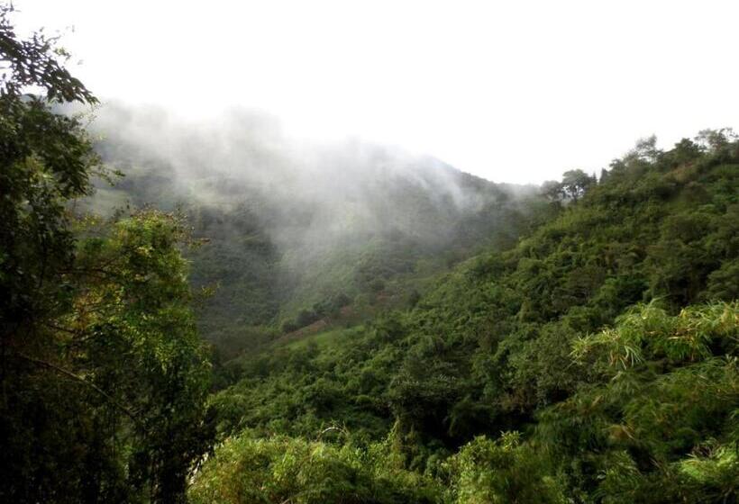 مبيت وإفطار Finca Petrona