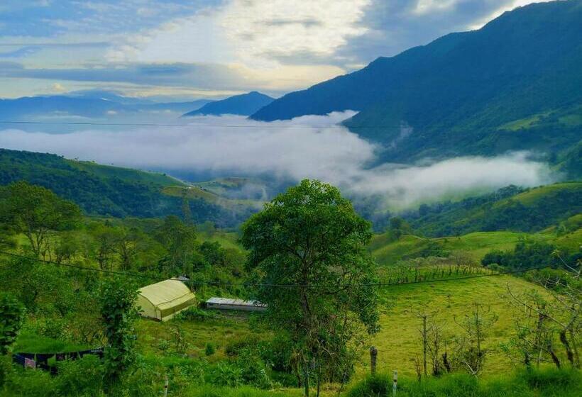 مبيت وإفطار Finca Petrona