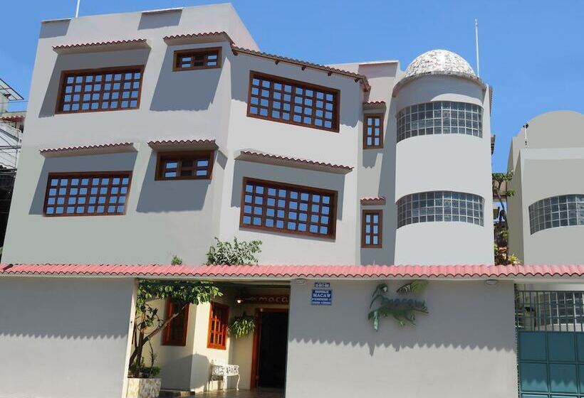 تختخواب و صبحانه Hostal Macaw