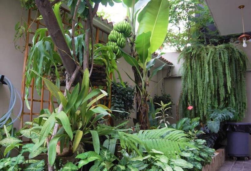 تختخواب و صبحانه Hostal Macaw