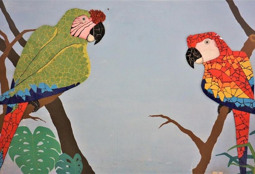 تختخواب و صبحانه Hostal Macaw