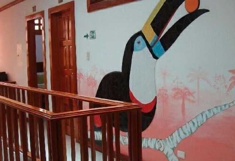 تختخواب و صبحانه Hostal Macaw