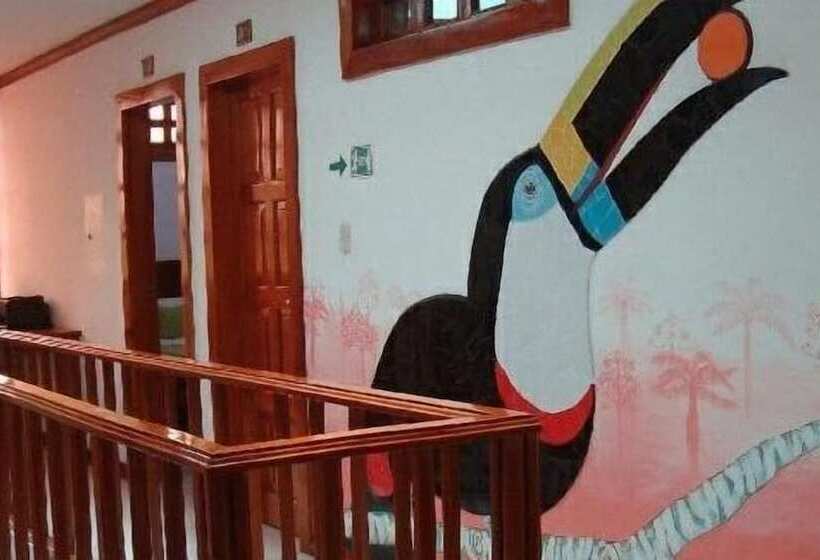 تختخواب و صبحانه Hostal Macaw