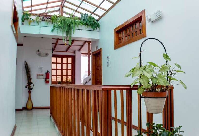 تختخواب و صبحانه Hostal Macaw