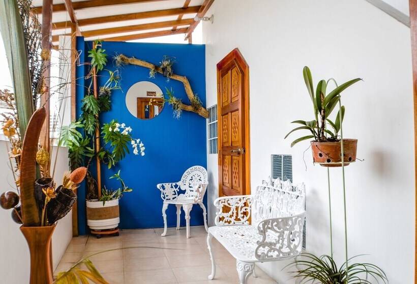 تختخواب و صبحانه Hostal Macaw