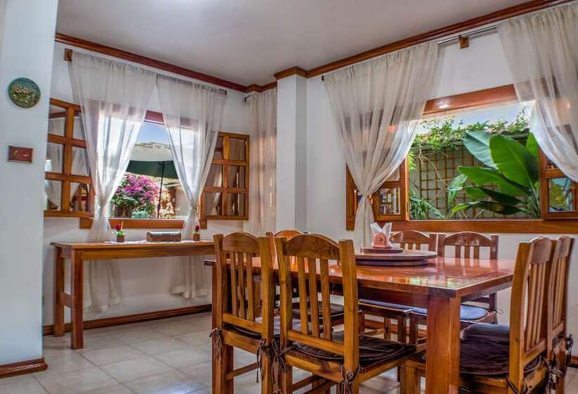 تختخواب و صبحانه Hostal Macaw