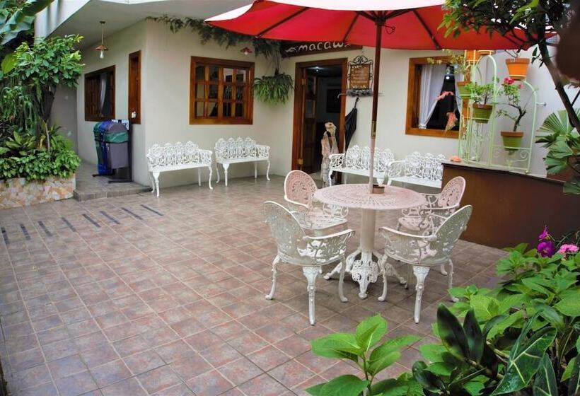 تختخواب و صبحانه Hostal Macaw