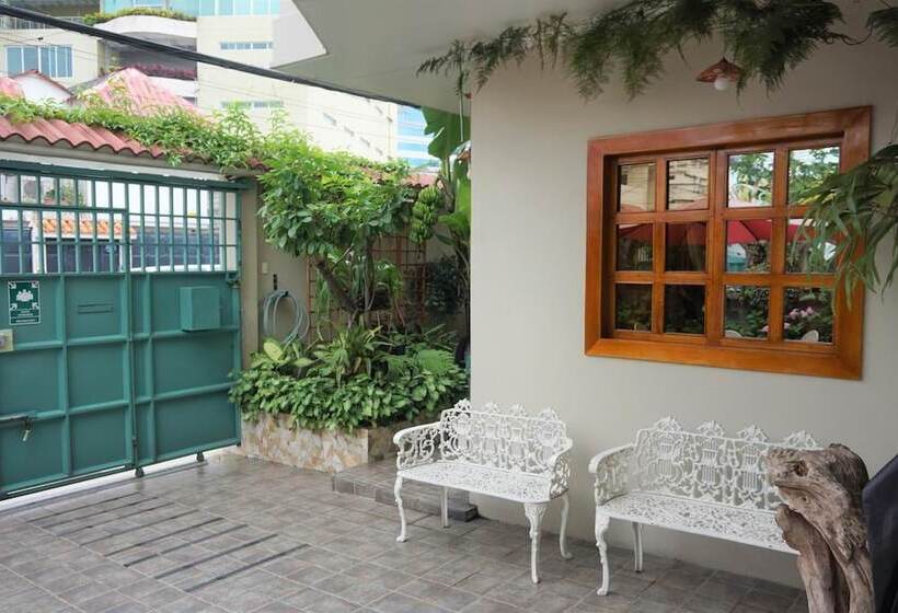 تختخواب و صبحانه Hostal Macaw