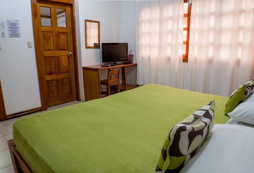 تختخواب و صبحانه Hostal Macaw