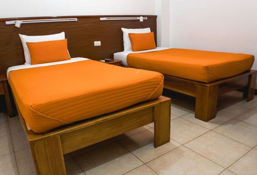 تختخواب و صبحانه Hostal Macaw