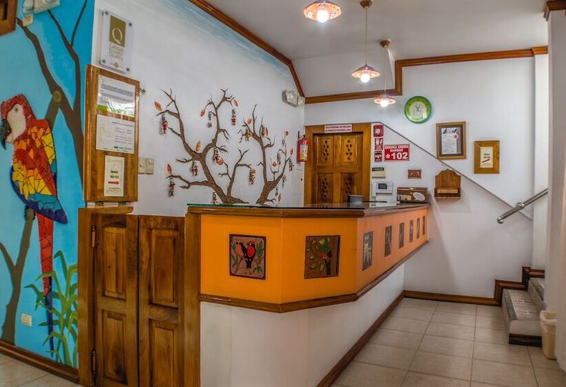 تختخواب و صبحانه Hostal Macaw