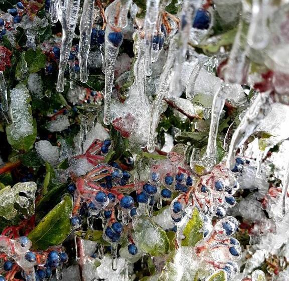 민박 Villa La Palazzina