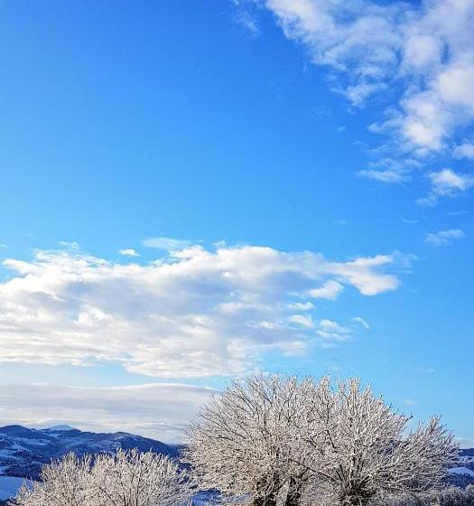 ベッドアンドブレックファースト Villa La Palazzina