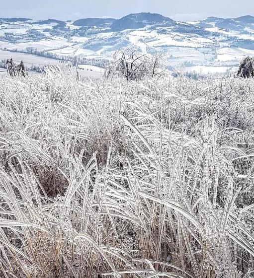 민박 Villa La Palazzina