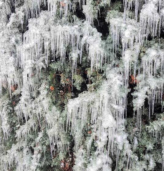 민박 Villa La Palazzina