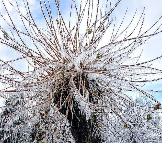 민박 Villa La Palazzina