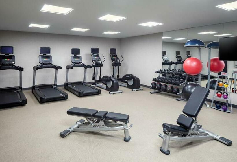 酒店 Springhill Suites By Marriott New York Jfk Airport/jamaica