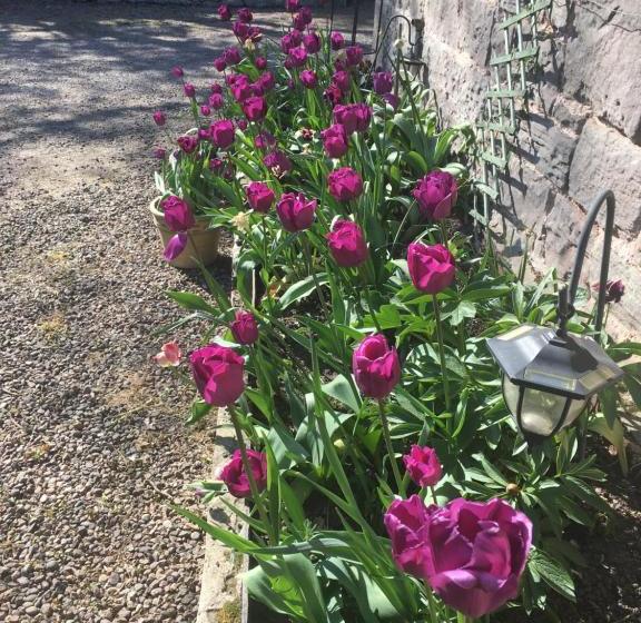 צימר Buckton Farmhouse