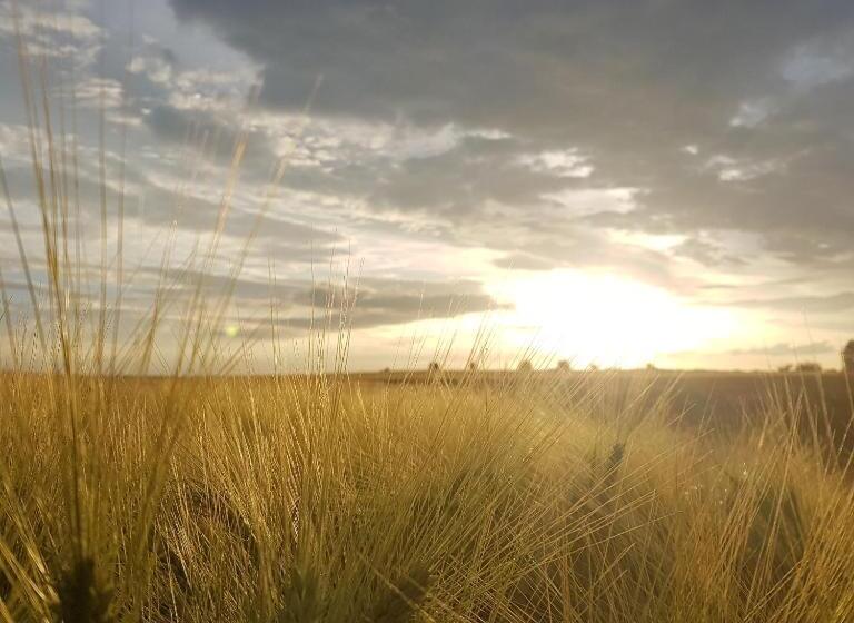 ベッドアンドブレックファースト Fonsegre Chambres D'hôtes