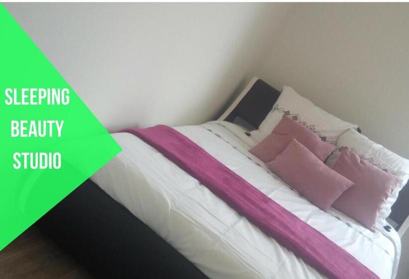 Cosy Studios La Gambeta